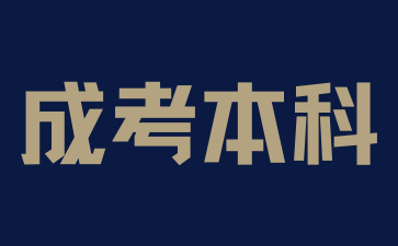 上海成考本科汉语言文学专业如何学习?