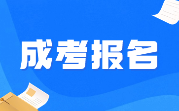 2024年上海成考报名后如何查询报名成功的相关信息?